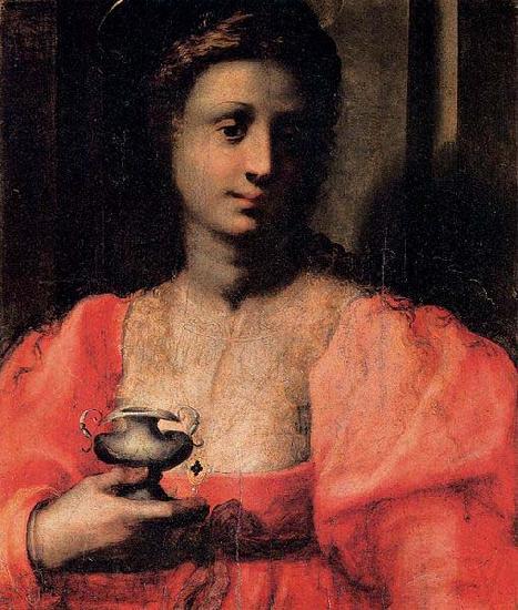 Domenico Puligo Mary Magdalen Germany oil painting art